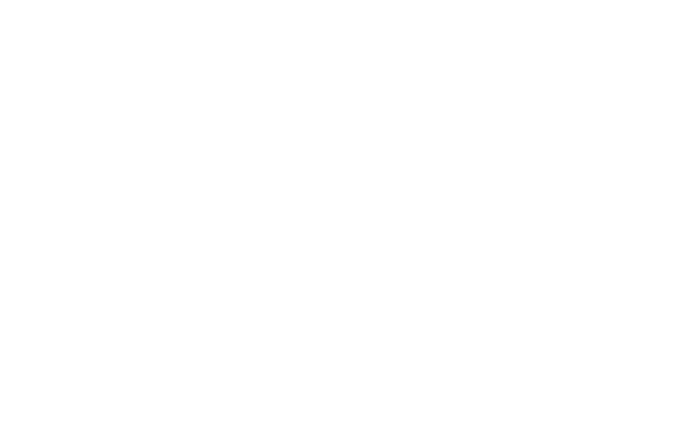 المحاشي والطيور
